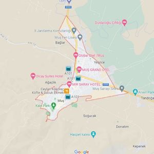 Muş havalimanı transfer