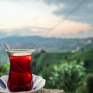 Rize havalimanı transfer